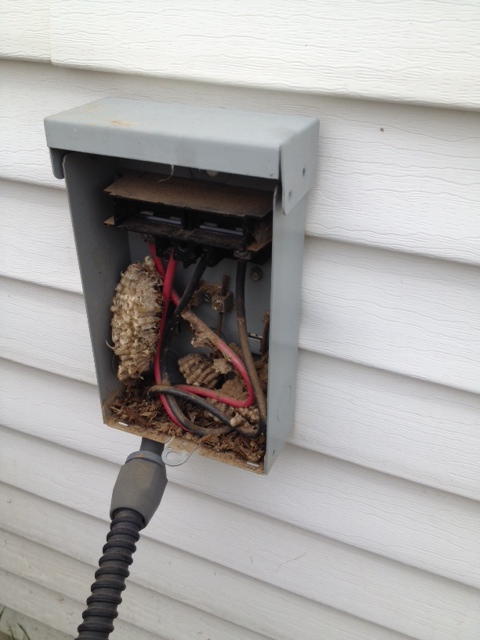 Wasps built a large nest in this air conditioner control box